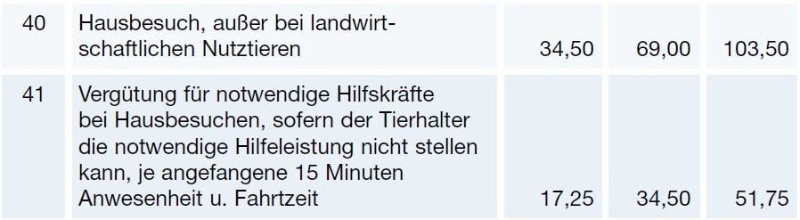 Tierarzt Hausbesuch – was kostet das? 1 Kosten für Tierarzt Hausbesuch (GOT 2022)