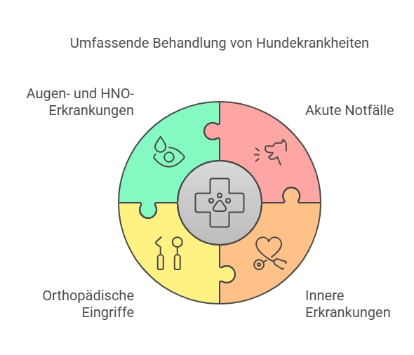 Hunde Krankheiten 2 Hunde Krankheiten Tierklinik vs. akute Notfälle