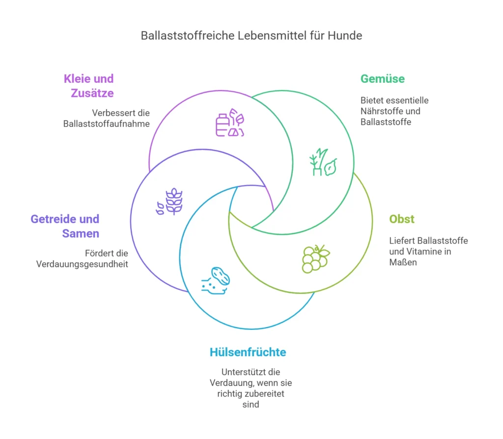 Analdrüsenentzündung Hunde Krankheit 2 Ballaststoffreiche Lebensmittel für Hunde